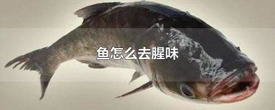 秋刀魚烹飪前的去腥妙招：秋刀魚去腥后的保存方法，秋刀魚搭配什么食材去腥效果好