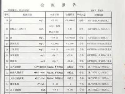 水質(zhì)檢測標(biāo)準(zhǔn)的國際對比：中國與其他國家水質(zhì)檢測標(biāo)準(zhǔn)的國際對比 其他寵物 第3張