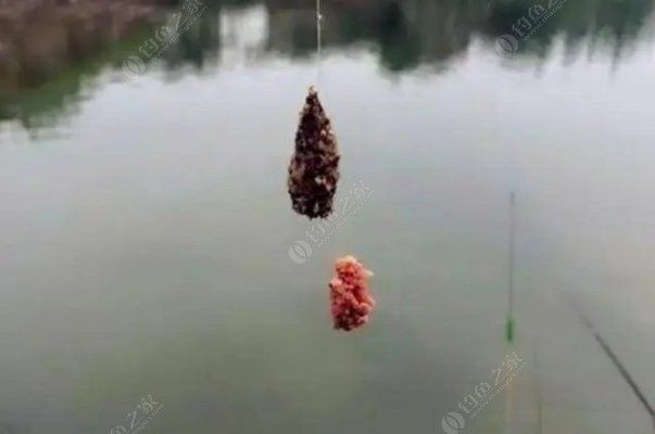 魚(yú)飼料顏色變化的原因：魚(yú)飼料的顏色變化可能與多種因素有關(guān)，魚(yú)飼料顏色變化可能與多種因素有關(guān) 其他寵物 第4張