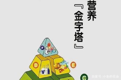 伊巴卡魚營養(yǎng)均衡飼料選擇：伊巴卡魚飼料品牌推薦 其他寵物 第3張