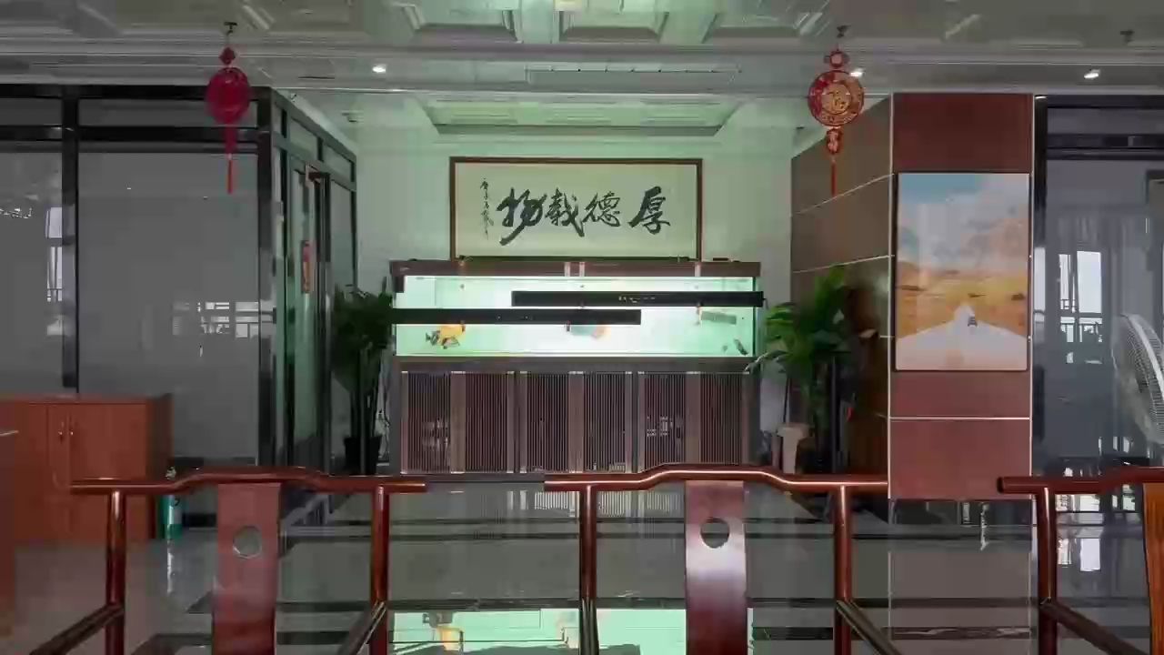 這種拍攝的方式，沒(méi)有任何濾鏡和技術(shù)，你們：非傳統(tǒng)、無(wú)濾鏡和高級(jí)技術(shù)的攝影方法 觀賞魚(yú)論壇