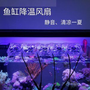 水族箱散熱器選購(gòu)技巧：水族箱散熱器的選擇 其他寵物 第4張