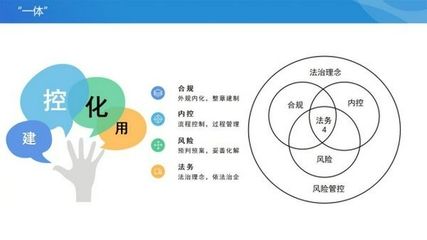 如何建立有效的內部監(jiān)管機制？：內部監(jiān)管機制的建立有效的內部監(jiān)管機制是一個復雜的過程 其他寵物 第4張