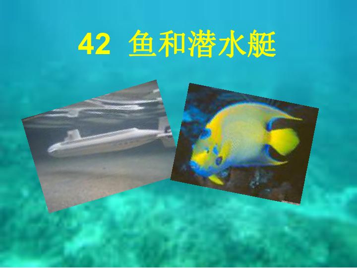 潛水艇魚繁殖期飼料選擇指南：關(guān)于潛水艇魚繁殖期飼料選擇指南 其他寵物 第3張