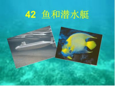 潛水艇魚繁殖期飼料選擇指南：關(guān)于潛水艇魚繁殖期飼料選擇指南 其他寵物 第5張