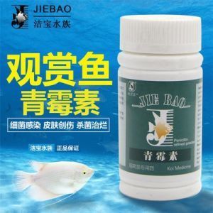 錦鯉爛鰓病的治療方法：如何治療錦鯉爛鰓病 其他寵物 第2張