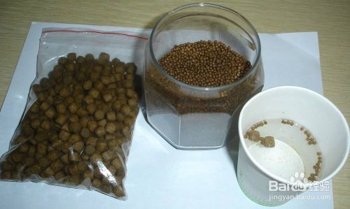 金魚飼料種類對比：金魚飼料新鮮度辨別方法 其他寵物 第4張