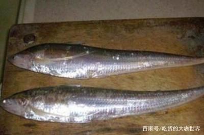 適量食用刀魚(yú)的標(biāo)準(zhǔn)是什么：刀魚(yú)的營(yíng)養(yǎng)豐富的人不宜食用刀魚(yú)的人不宜食用刀魚(yú) 其他寵物 第2張