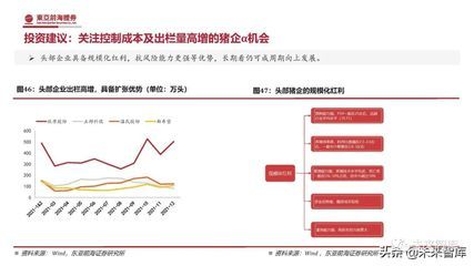 飼料成本控制策略探討：畜牧業(yè)飼料成本控制策略實施效果提高飼料利用率 其他寵物 第4張