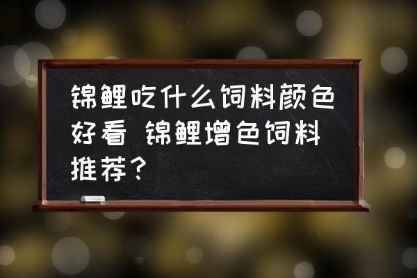 三色錦鯉飼料選擇指南：三色錦鯉的飼料選擇