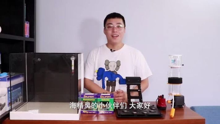 新魚隔離檢疫操作流程：新魚入缸前的隔離檢疫操作流程旨在確保新魚健康和安全 其他寵物 第4張