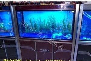 羅漢魚市場銷售策略：深海撈羅漢魚市場銷售 其他寵物 第2張