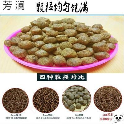 自制魚飼料營養(yǎng)價值分析：自制魚飼料在營養(yǎng)價值上具有明顯優(yōu)勢 其他寵物 第1張