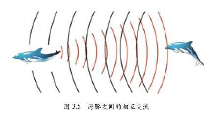 海豚超聲波定位的實際應(yīng)用：廈門大學(xué)張宇教授課題組推出一類新型聲學(xué)軟生物超材料（sbm） 其他寵物 第3張