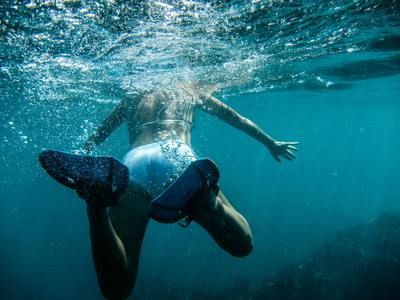 伊巴卡魚最佳生長水溫：伊巴卡魚冬季養(yǎng)護技巧伊巴卡魚夏季降溫方法 其他寵物