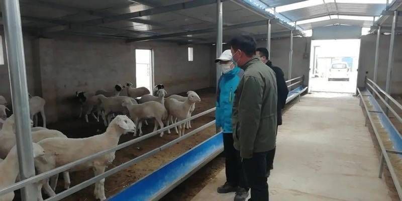 如何選擇合適顆粒大小飼料：選擇合適的飼料顆粒大小對動物健康和生長至關(guān)重要 其他寵物 第3張