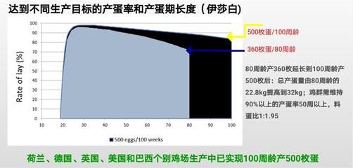 飼料轉(zhuǎn)化效率優(yōu)化策略：如何通過遺傳選育提升飼料轉(zhuǎn)化效率？ 其他寵物 第4張