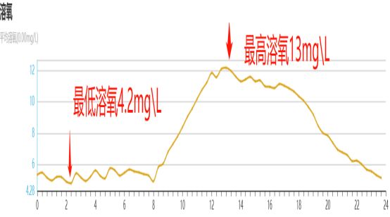 增氧機(jī)使用時機(jī)與方法：增氧機(jī)的使用與保養(yǎng) 其他寵物 第1張