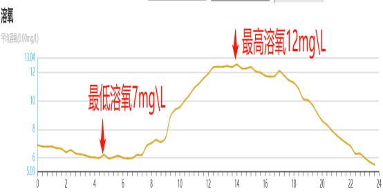 增氧機(jī)使用時機(jī)與方法：增氧機(jī)的使用與保養(yǎng) 其他寵物 第3張