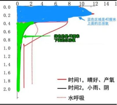 增氧機(jī)使用時機(jī)與方法：增氧機(jī)的使用與保養(yǎng) 其他寵物 第4張