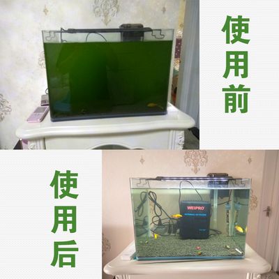 水族箱過濾系統(tǒng)優(yōu)化方案：水族箱過濾系統(tǒng)優(yōu)化