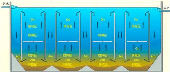 如何控制水族箱內(nèi)氨氮含量：如何控制水族箱內(nèi)的氨氮含量 其他寵物 第2張