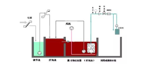 如何控制水族箱內(nèi)氨氮含量：如何控制水族箱內(nèi)的氨氮含量 其他寵物 第4張