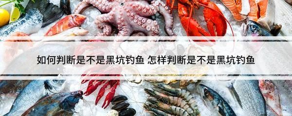 如何判斷新魚是否健康：判斷新魚是否健康是確保您的水族箱生態(tài)平衡關鍵步驟 其他寵物 第4張