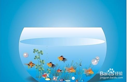 水族箱過濾器選擇技巧：水族箱過濾器的選擇技巧