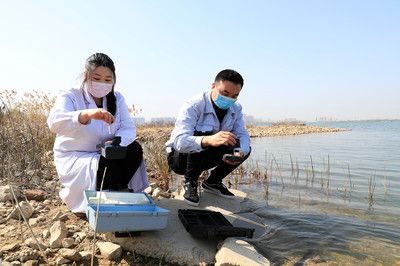 生物法檢測(cè)水質(zhì)的準(zhǔn)確性：生物法檢測(cè)水質(zhì)準(zhǔn)確性在線分析儀操作流程分析儀操作 其他寵物 第5張