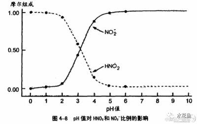 硝酸鹽對魚類影響研究：關(guān)于硝酸鹽對魚類的影響 其他寵物 第2張