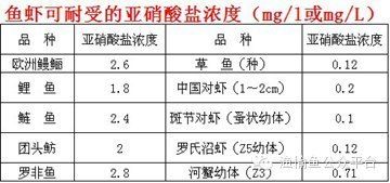 硝酸鹽對魚類影響研究：關(guān)于硝酸鹽對魚類的影響 其他寵物 第5張