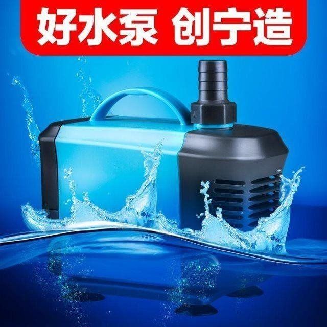 龍魚寓意：五個關于龍魚的疑問句 水族問答 第1張