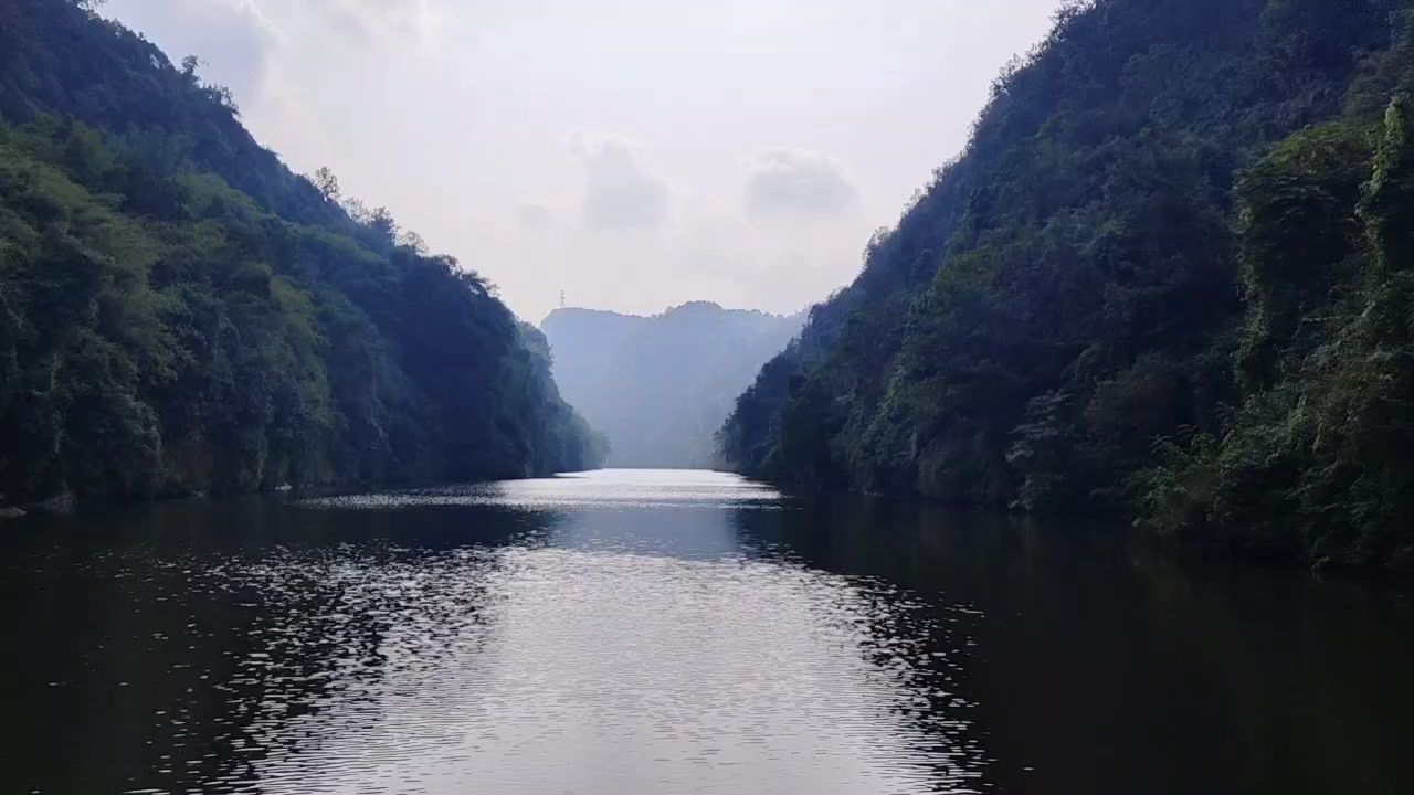 初十魚快：初十魚快的由來 觀賞魚論壇