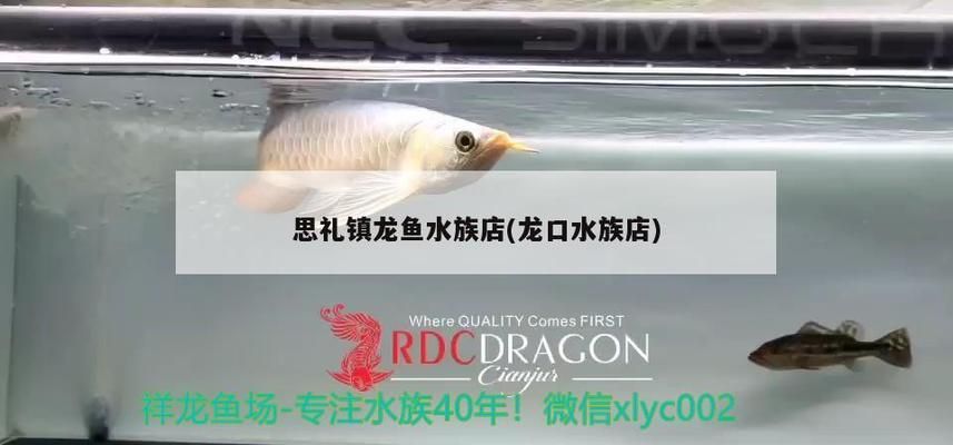 肇慶龍魚水族店：廣東肇慶龍魚水族店 全國觀賞魚市場 第1張