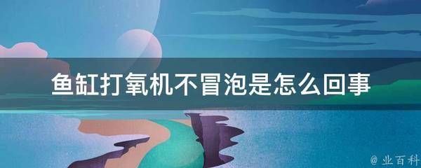 包頭龍魚(yú)水族店：包頭市龍魚(yú)水族店 全國(guó)觀賞魚(yú)市場(chǎng) 第2張