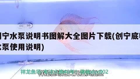 商丘龍魚水族店：商丘市龍魚水族店 全國觀賞魚市場(chǎng) 第1張