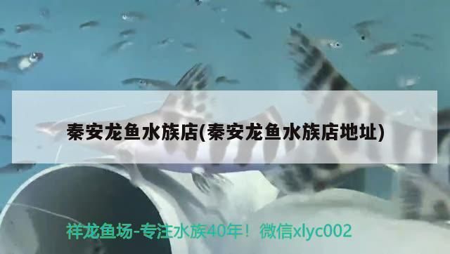 哈爾濱龍魚水族店：哈爾濱龍魚水族店推薦 全國觀賞魚市場 第1張