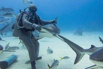 成都龍魚水族店：成都龍魚水族店怎么樣 全國觀賞魚市場 第4張