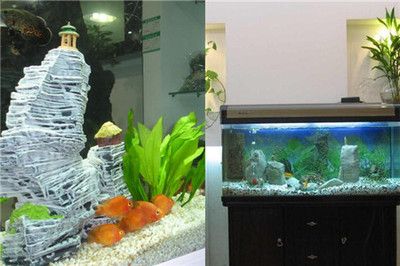 龍魚只吃飼料不吃小魚怎么回事兒呀：為什么龍魚只吃飼料，而不喜歡小魚呢？ 水族問答 第1張