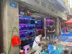 廣州西關(guān)清平路魚缸特色：廣州西關(guān)清平路魚缸市場(chǎng)歷史沿革,清平路魚缸價(jià)格對(duì)比 水族雜談 第2張