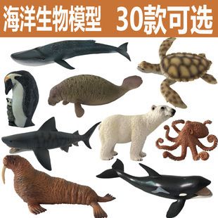 仿真海豚選購(gòu)指南：仿真海豚品牌推薦 水族雜談 第2張