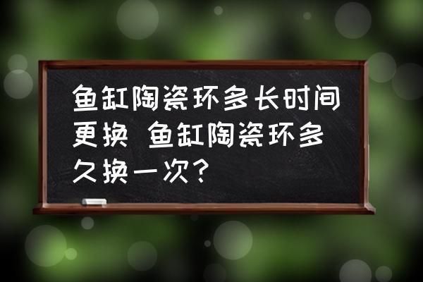 大魚(yú)缸維護(hù)周期建議：大魚(yú)缸養(yǎng)護(hù)周期建議 水族雜談 第2張