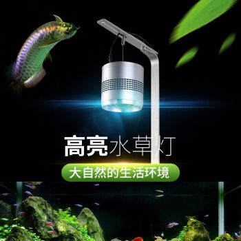 工匠時光魚缸價格對比：工匠時光塑料小魚缸價格對比 水族雜談 第2張