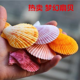 創(chuàng)意魚缸的家居搭配：創(chuàng)意魚缸家居搭配建議小米魚缸兼具智能控制與高顏值設(shè)計 水族雜談 第1張