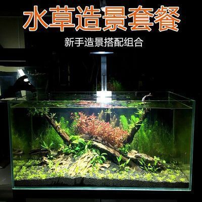 博宇水族器材的用戶評價如何？：博宇水族器材用戶評價 水族雜談 第5張