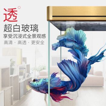 德克魚缸價格區(qū)間查詢：德克魚缸價格區(qū)間 水族雜談 第5張