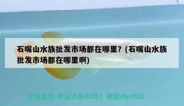 巴南哪里賣龍魚：巴南地區(qū)有幾個(gè)地方可以買到龍魚，其市場價(jià)格相對昂貴 全國龍魚店鋪 第1張