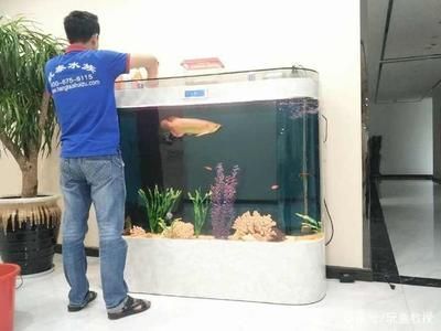 柯城哪里賣龍魚：江山市龍魚水族市場(chǎng) 全國龍魚店鋪 第3張