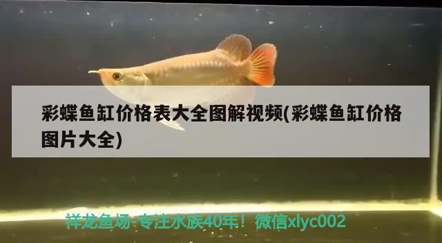 韶關彩鰈魚缸專賣店：韶關彩鰈魚缸專賣店提供多種規(guī)格、款式的彩鰈魚缸 彩鰈魚缸（彩蝶魚缸） 第2張